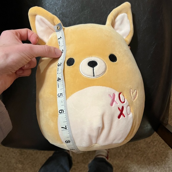 Squishmallows Toys Squishmallow Chauncy Chihuahua Xoxo Valentines
